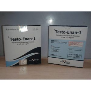 Testo-Enan-1
